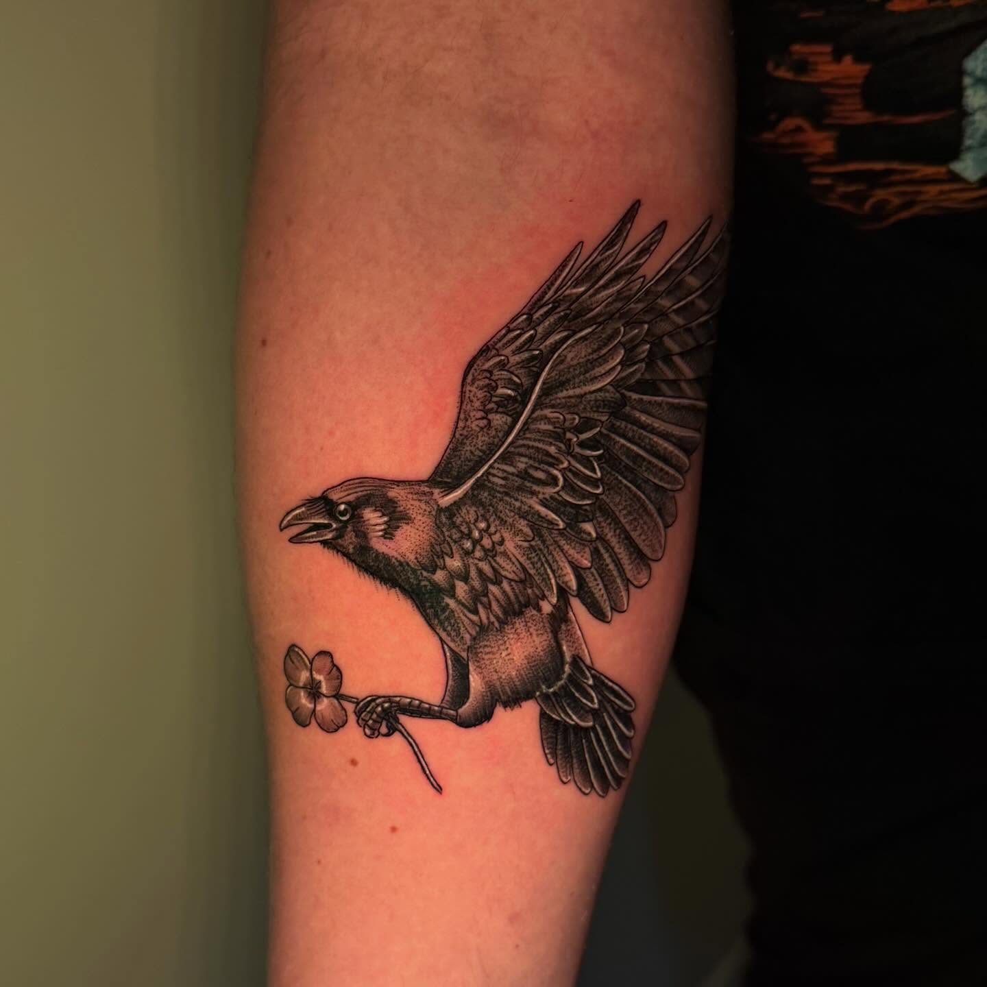 Clean illustrative flying raven carrying a four-leaf clover tattoo